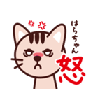 はらちゃん専用スタンプです！（個別スタンプ：11）