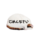愛猫様です（個別スタンプ：13）