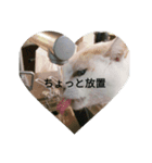 ひなぽんこめむぎ（個別スタンプ：1）