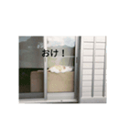 ひなぽんこめむぎ（個別スタンプ：2）
