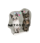 ひなぽんこめむぎ（個別スタンプ：4）