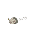 エモあざらし（個別スタンプ：1）