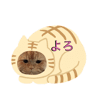 しまねこ2（個別スタンプ：1）