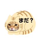 しまねこ2（個別スタンプ：13）