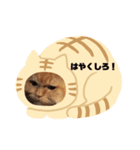 しまねこ2（個別スタンプ：14）