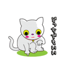 白猫「シロ」（個別スタンプ：23）