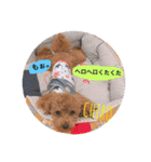 チロ＆ミル 1（個別スタンプ：5）