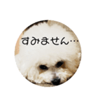 ルンのスタンプ（個別スタンプ：5）