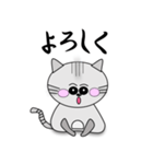 キジトラ猫 タイガー（個別スタンプ：5）