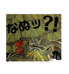 亀の世界（個別スタンプ：27）
