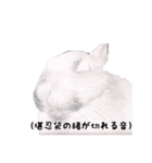 可愛いだけがうさぎじゃない。（個別スタンプ：14）