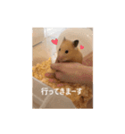 キンクマハムスターはむさん（個別スタンプ：18）