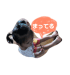 りんのひとこと。（個別スタンプ：8）