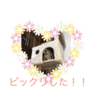 マメとハク丸（個別スタンプ：3）