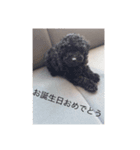 とても可愛いワンコたち（個別スタンプ：7）