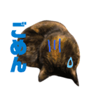 もずくとうずらとふうがのすたんぷ。（個別スタンプ：7）