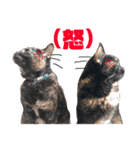 もずくとうずらとふうがのすたんぷ。（個別スタンプ：10）