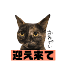 もずくとうずらとふうがのすたんぷ。（個別スタンプ：15）