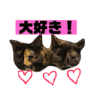 もずくとうずらとふうがのすたんぷ。（個別スタンプ：16）