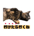 もずくとうずらとふうがのすたんぷ。（個別スタンプ：18）