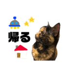 もずくとうずらとふうがのすたんぷ。（個別スタンプ：24）
