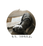 お眠なセナくん（個別スタンプ：5）