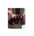 僕の犬！（個別スタンプ：4）