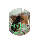 僕の犬！（個別スタンプ：5）