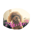 僕の犬！（個別スタンプ：6）