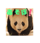 あにまるすたんぷ。～日常編～（個別スタンプ：3）
