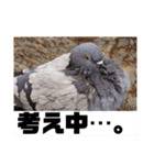 あにまるすたんぷ。～日常編～（個別スタンプ：5）