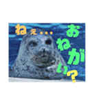 あにまるすたんぷ。～日常編～（個別スタンプ：9）