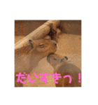 あにまるすたんぷ。～日常編～（個別スタンプ：10）