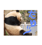 あにまるすたんぷ。～日常編～（個別スタンプ：16）