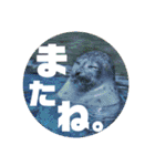 あにまるすたんぷ。～日常編～（個別スタンプ：23）