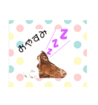 ミロ＆サージュ（個別スタンプ：1）