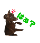 ミロ＆サージュ（個別スタンプ：11）