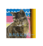みきとよしえとねこのひび（個別スタンプ：11）