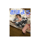【身内】りんりんすたんぷ（個別スタンプ：14）
