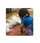 【身内】りんりんすたんぷ（個別スタンプ：15）