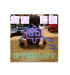 【身内】りんりんすたんぷ（個別スタンプ：20）