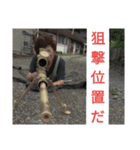 喜三郎フィールド 202（個別スタンプ：13）