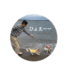 キャバリアは犬じゃないもんね〜（個別スタンプ：12）