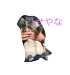うさぎの二郎（個別スタンプ：7）
