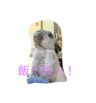 うさぎの二郎（個別スタンプ：8）