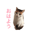むーむー0606（個別スタンプ：1）