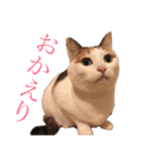 むーむー0606（個別スタンプ：3）