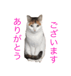 むーむー0606（個別スタンプ：9）