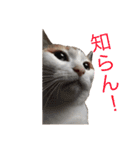 むーむー0606（個別スタンプ：19）