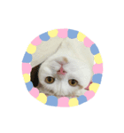 まるくんです（個別スタンプ：3）